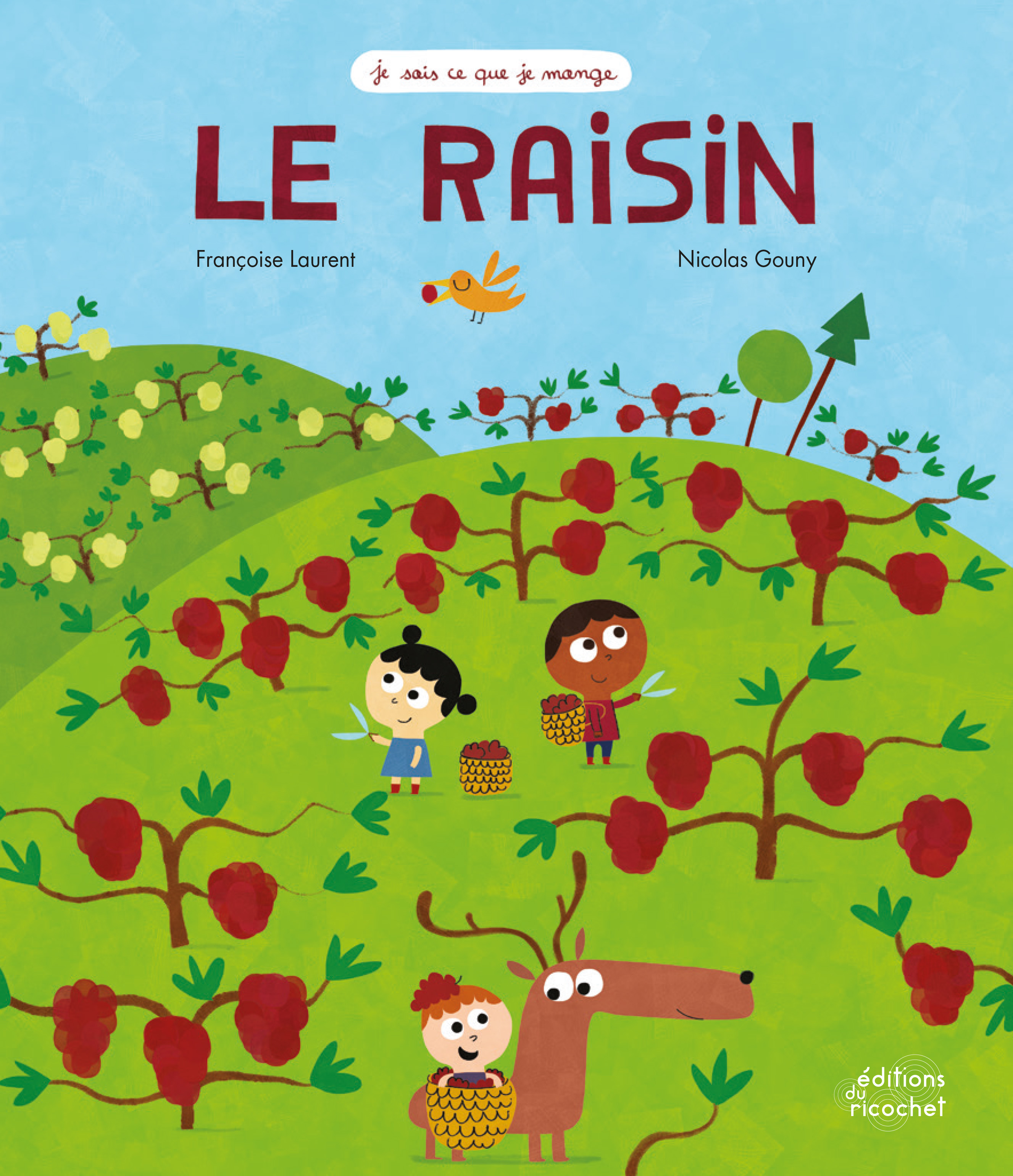 Le Raisin - Les secrets de la vigne !